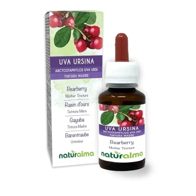 Afbeelding van Berendruif (Arctostaphylos uva ursi) bladeren Alcoholvrije moedertinctuur Naturalma Vloeibaar extract druppels 60 ml Voedingssupplement Veganistisch