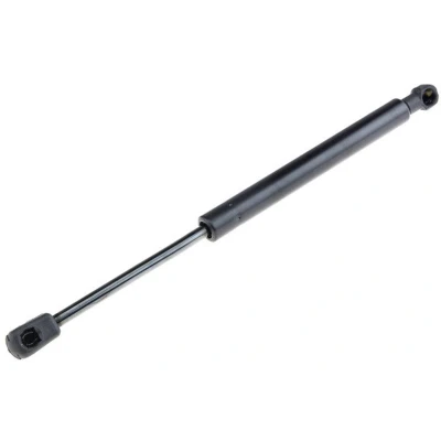 Afbeelding van Gasveer, motorkap NTY AE BM 046