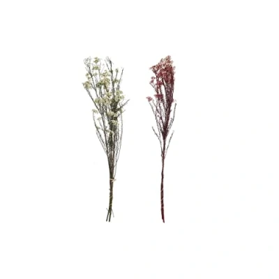 Afbeelding van Boeket DKD Home Decor Roze Wit Gedroogde bloem (11 x 3 72 cm) (2 Stuks)