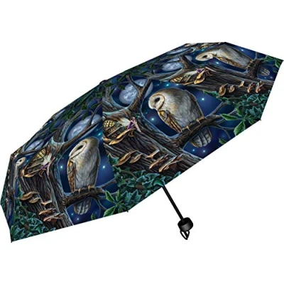 Afbeelding van Nemesis Now Lisa Parker Fairy en Uil Paraplu, kunststof, metaal, 190T pongee, Blauw, One Size