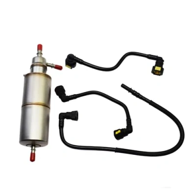 Afbeelding van DEMULAX Brandstoffilter en brandstofretourtoevoerleidingslang, for Mercedes Benz, W163 ML320 ML350 ML430 ML500 ML55 AMG, A1634770701, A1634770201 Brandstofretourleidingslang(Filter Hoses Kit)