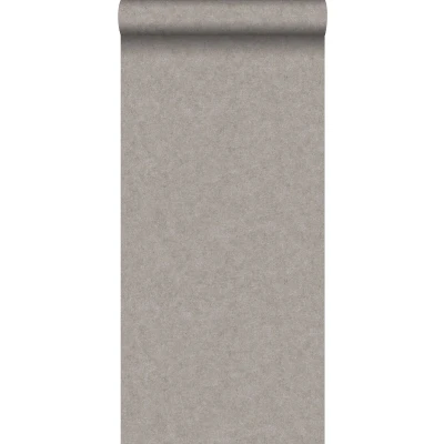 Afbeelding van Leen Bakker ESTAhome Behang Betonlook 53cm X 10,05 M Bruin Vlies