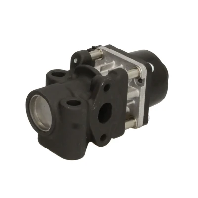 Afbeelding van Delphi Diesel EGR klep EG10454 12B1