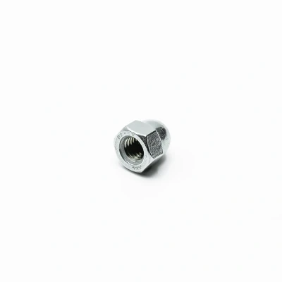 Afbeelding van Dopmoeren RVS M6 100 stuks