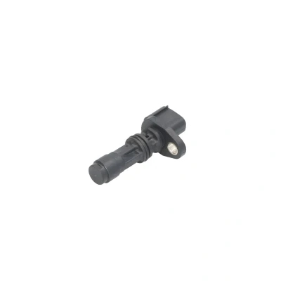 Afbeelding van Delphi Diesel Nokkenas positiesensor SS11155