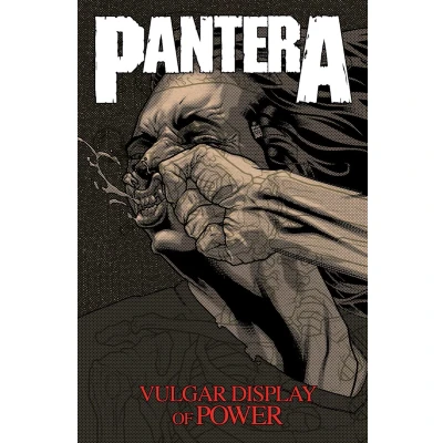 Afbeelding van Pantera: Vulgar Display of Power