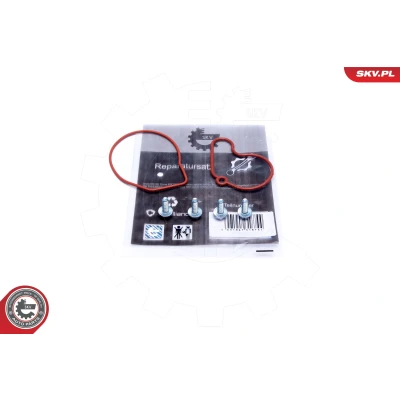 Afbeelding van Reparatieset, onderdrukpomp (remsysteem) ESEN SKV 18SKV807