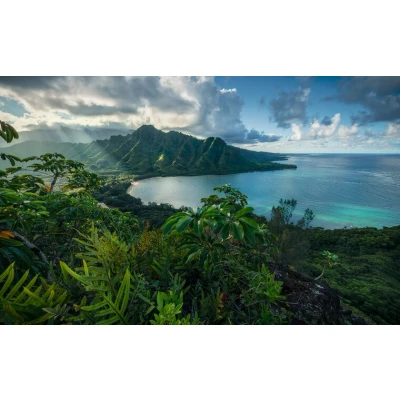 Afbeelding van Komar Vliesbehang Jurassic IJsland (9 stuks)