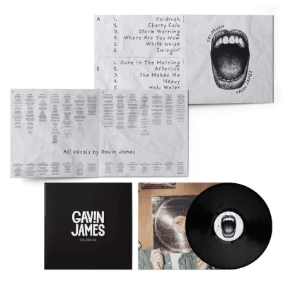 Afbeelding van Gavin James Goldrush (LP)
