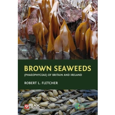 Afbeelding van Seaweeds of the British Isles Brown (Phaeophyceae) Britain and Ireland