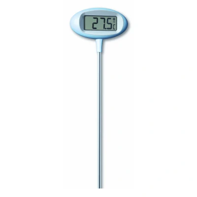 Afbeelding van Thermometer tuin Orion