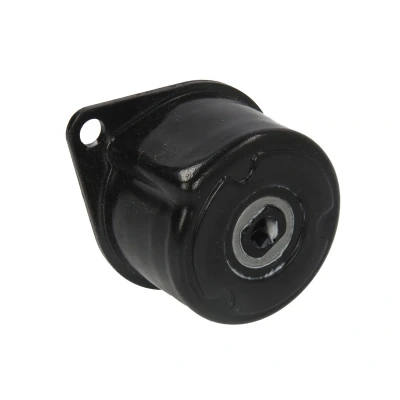 Afbeelding van Spanrol, Poly V riem GATES T36858