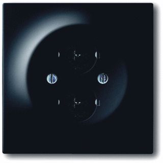 Afbeelding van Abb busch jaeger impuls centraalplaat met draagring 2 luidsprekerconn en schroefklemmen aderdoorsnede tot 4mm2 massief zwart mat 2cka001753a0145