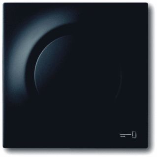 Afbeelding van Abb busch jaeger centraalplaat met bedieningsknop en glimlampje mat zwart symbool sleutel als afdekking voor inbouwimpulsdrukker 2cka001753a0157
