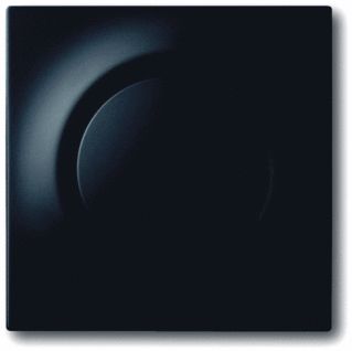 Afbeelding van Abb busch jaeger centr pl met bedieningsknop en glimlampje mat zwart als afdekking voor inbouwserieschakelaar wissel schakelaar 2cka001753a0152