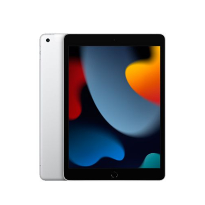 Afbeelding van Apple iPad 2021 WiFi 256GB Zilver