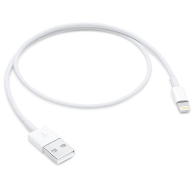 Image de Apple Lightning USB Câble 0.5 metre