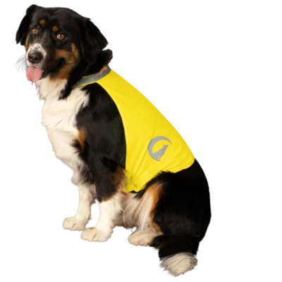 Afbeelding van Excellent Dog Safety Vest Nightwalk Geel M