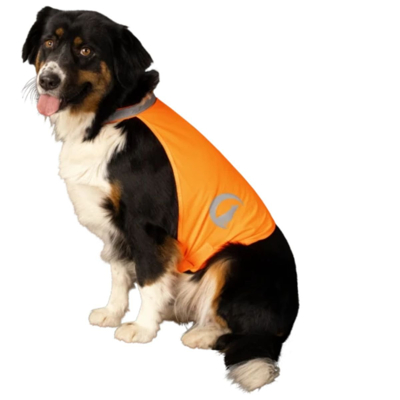 Afbeelding van Excellent Dog Safety Vest Nightwalk Oranje S