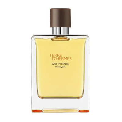 Afbeelding van Hermes Terre d&#039;Hermes Eau Intense Vetiver de Parfum 100 ml