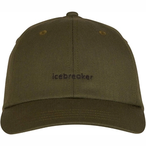Afbeelding van Pet Icebreaker 6 Panel Hat Loden Black