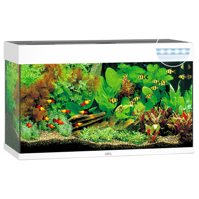 Afbeelding van Juwel Aquarium Rio 125 Led 80x35x50 cm Aquaria Wit Ca. L