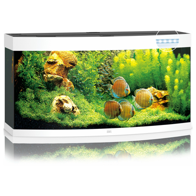 Afbeelding van Juwel Aquarium Vision 260 Led 121x46x64 cm Aquaria Wit Ca. L