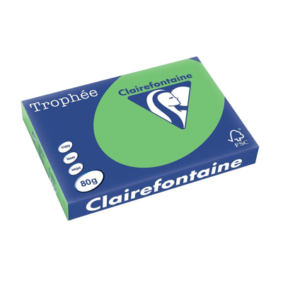 Afbeelding van Clairefontaine Trophée Intens, gekleurd papier, A3, 80 g, 500 vel, muntgroen papier