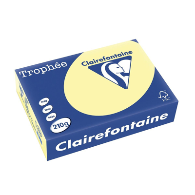 Afbeelding van Clairefontaine Trophée Pastel, Gekleurd Papier, A4, 210 G, 250 Vel, Kanariegeel Papier