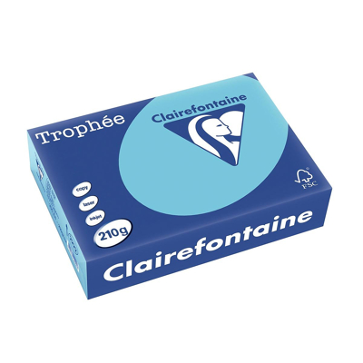 Afbeelding van Clairefontaine Trophée Pastel, Gekleurd Papier, A4, 210 G, 250 Vel, Helblauw Papier