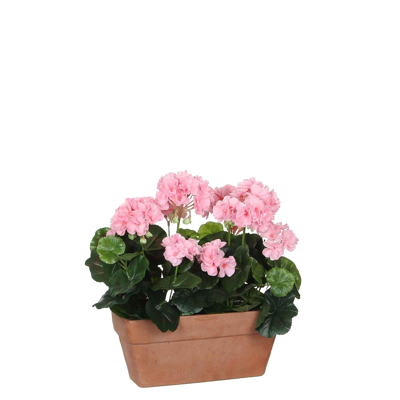 Afbeelding van Mica Decorations geranium roze in balkonbak terra maat cm: 29x13x40
