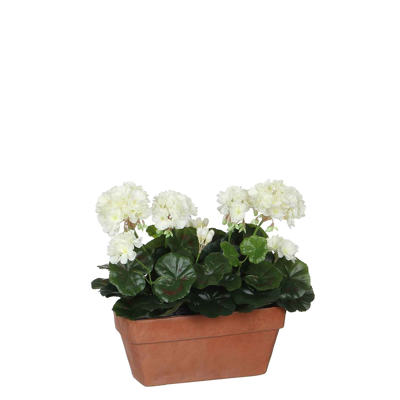 Afbeelding van Mica Decorations geranium wit in balkonbak terra maat cm: 29x13x40