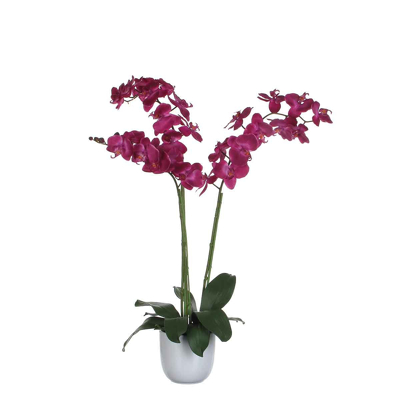 Afbeelding van Mica Decorations Phalaenopsis Kunstplant in Pot 65x45x72 cm Wit