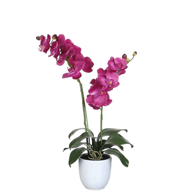 Afbeelding van Mica Decorations phalaenopsis paars tusca wit (dia 12) 45x28x50
