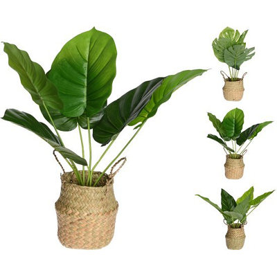 Afbeelding van Plant in mand 46 cm 3 Varianten Kunstplant