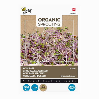 Afbeelding van Sprouting Koolrabi rood Kiemgroente Buzzy Organic (BIO)