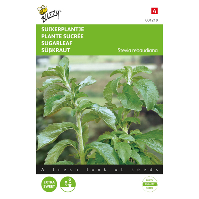 Afbeelding van Stevia, Suikerplantje of Honingkruid