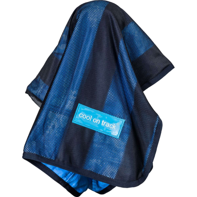 Abbildung von Back on Track Cooling Towel Blau 106x76cm