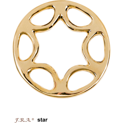 Abbildung von F.R.A. Hackamore Set Star Brass 8,5cm