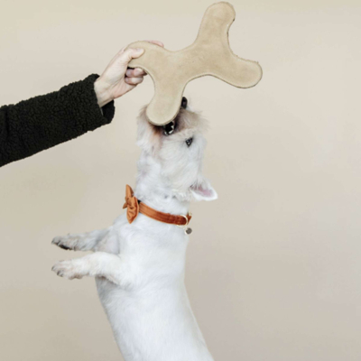 Abbildung von Kentucky Hundespielzeug Bone Pastel Beige