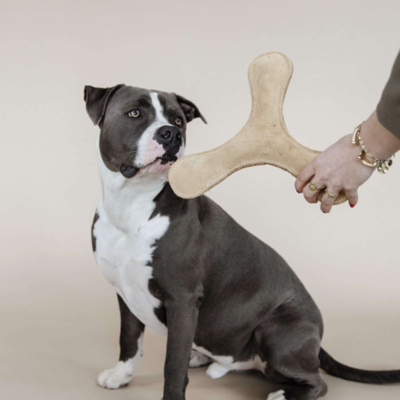 Abbildung von Kentucky Hundespielzeug Boomerang Pastel Creme