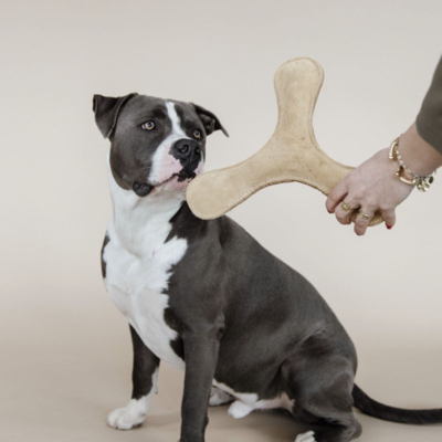 Abbildung von Kentucky Hundespielzeug Boomerang Pastel Beige