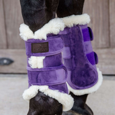 Abbildung von Kentucky Horsewear Beinschutz Violett L