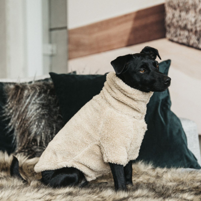 Abbildung von Kentucky Hunde Sweater Teddy Fleece Beige 70cm
