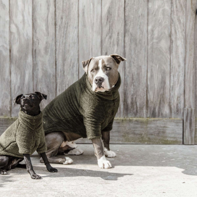 Abbildung von Kentucky Hunde Sweater Teddy Fleece Pine Green 48cm