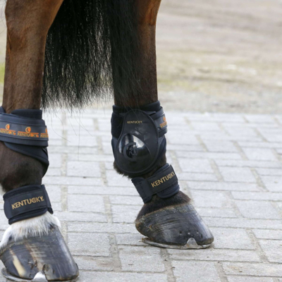 Abbildung von Kentucky Horsewear Fesselschutz Pastern Warmblut