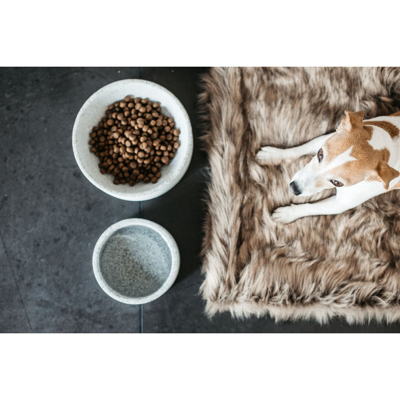 Abbildung von Kentucky Dogwear Hundenapf Granit Grau 24x9cm