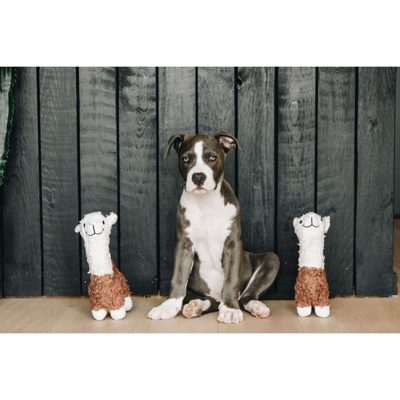 Abbildung von Kentucky Dogwear Hundespielzeug Alfredo Weich Alpaca
