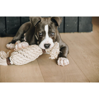 Abbildung von Kentucky Dogwear Hundespielzeug Cotton Rope Pineapple