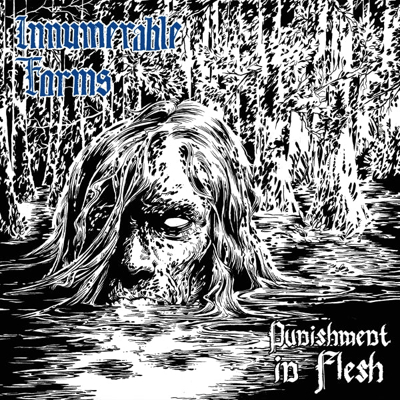 Afbeelding van Innumerable Forms Punishment In Flesh (LP)